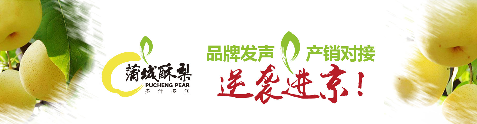 戰(zhàn)略賦能區(qū)域公用品牌，點(diǎn)亮區(qū)域經(jīng)濟(jì)